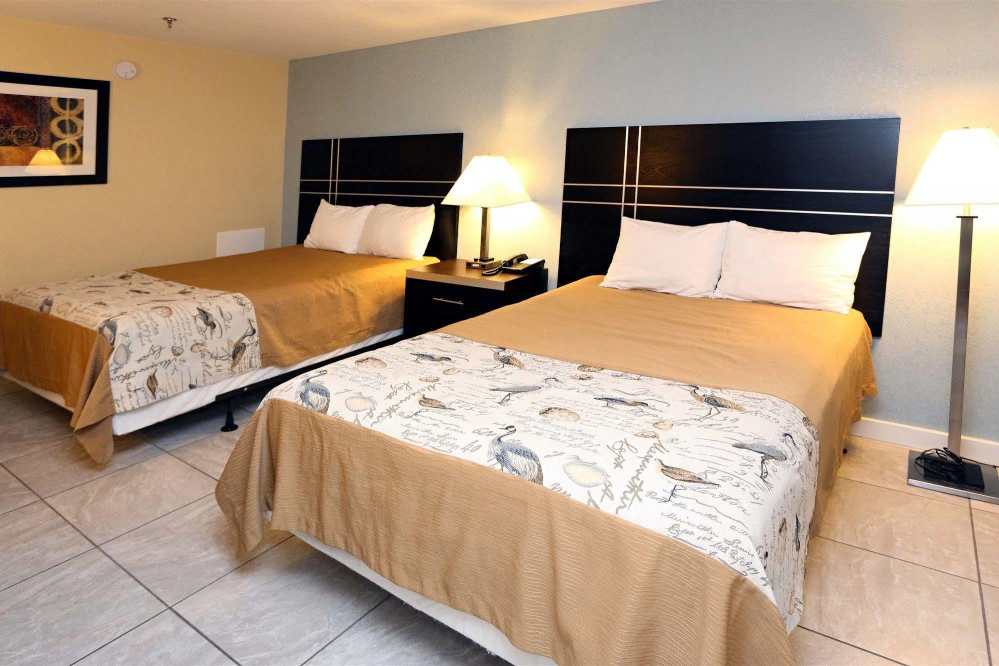 וירג'יניה ביץ' Blue Marlin Motel מראה חיצוני תמונה